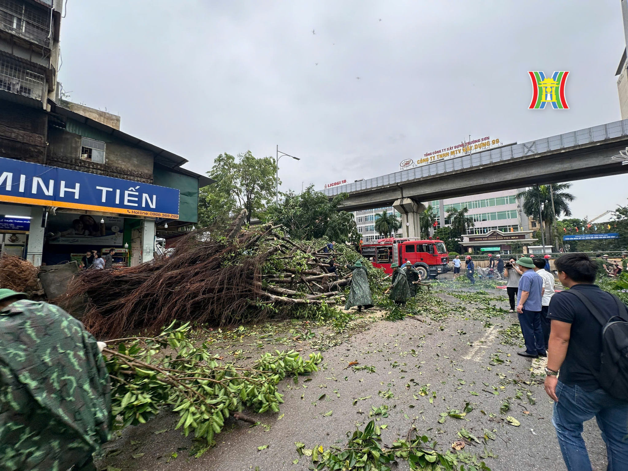 Nhiều cây xanh đô thị bị gãy đổ.